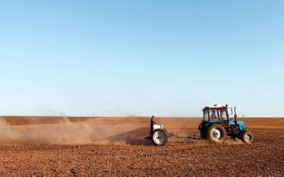 L’industrie agroalimentaire face à ses défis