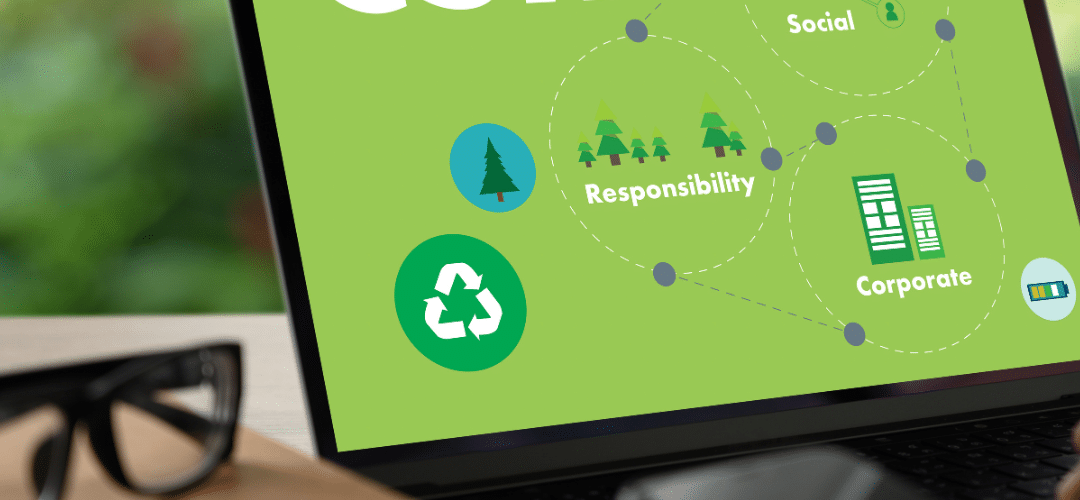 LA CSRD POUR LES NULS – Partie 2