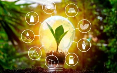 Transition énergétique : Comment les entreprises peuvent-elles réduire leur impact environnemental et se conformer aux nouvelles règlementations ?