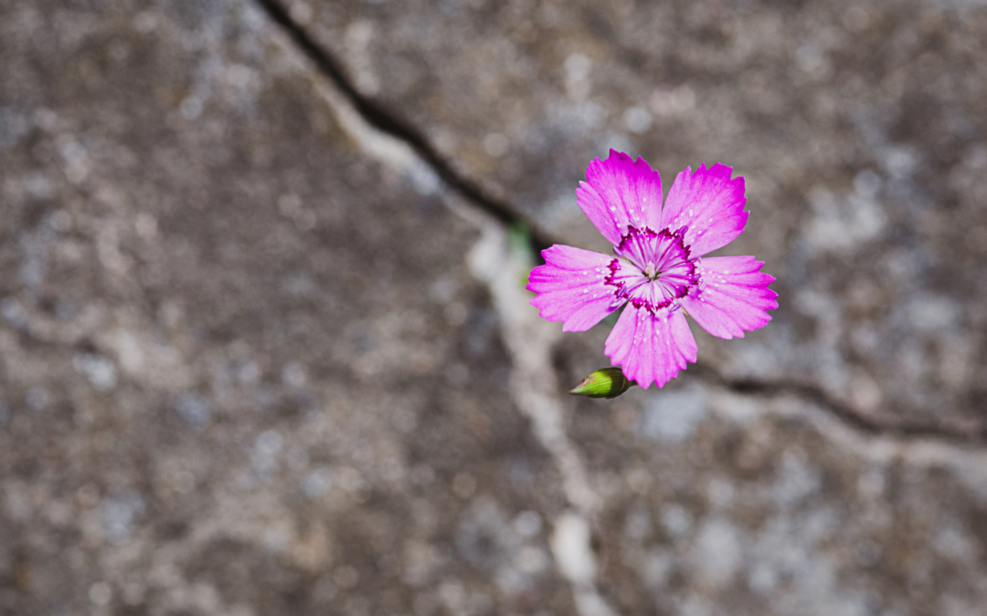 La résilience au travail : un atout indispensable pour vos équipes et votre entreprise